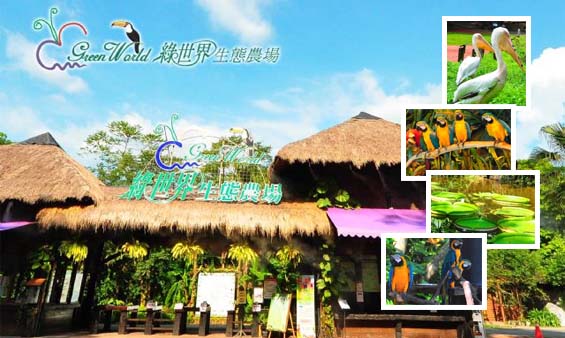 綠世界生態農場-森林照相館